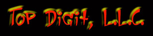 Welcome To Top Digit's Web Site